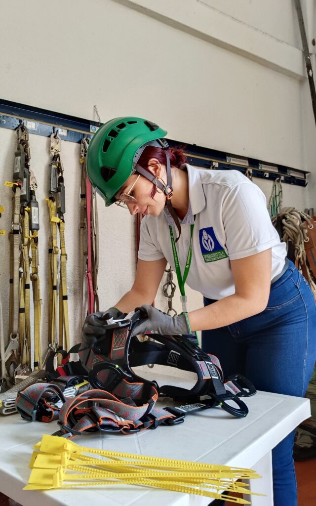 🛠️ Pruebas Operacionales y Verificación de Seguridad