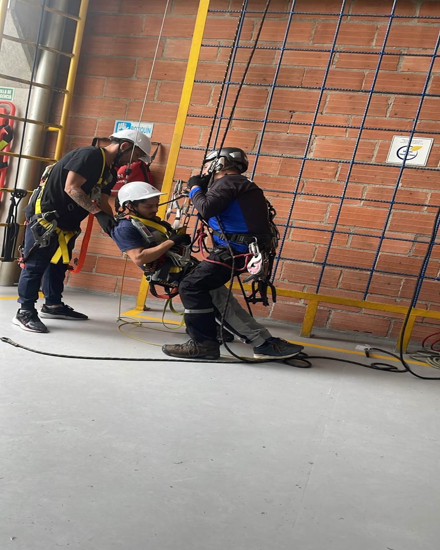 📋 Asesoría técnica personalizada