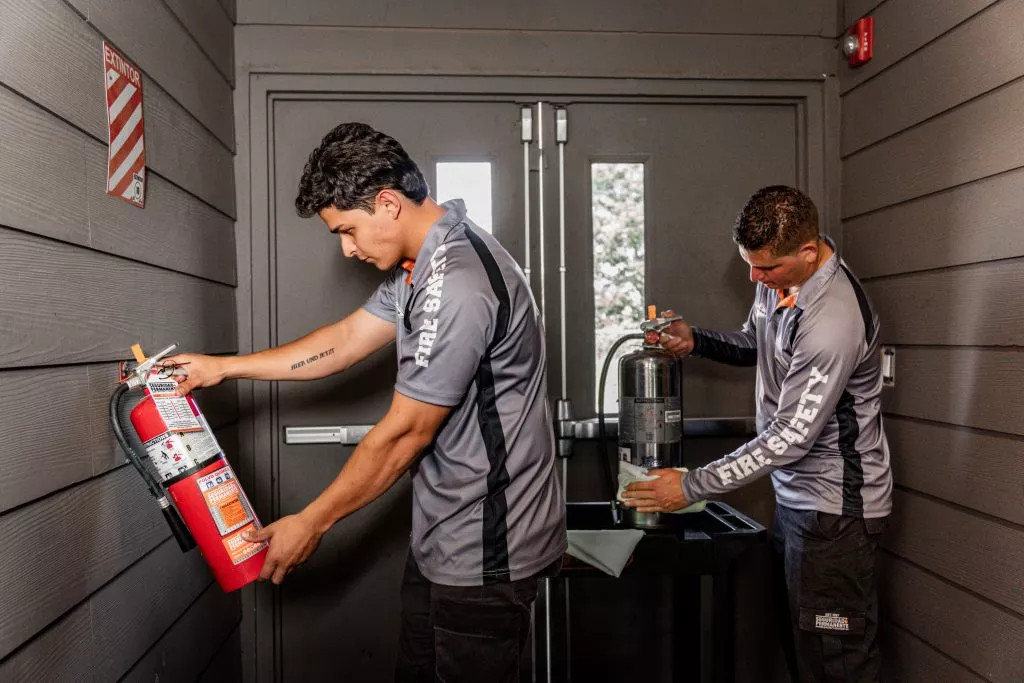 🔥 Recarga con agente extintor certificado